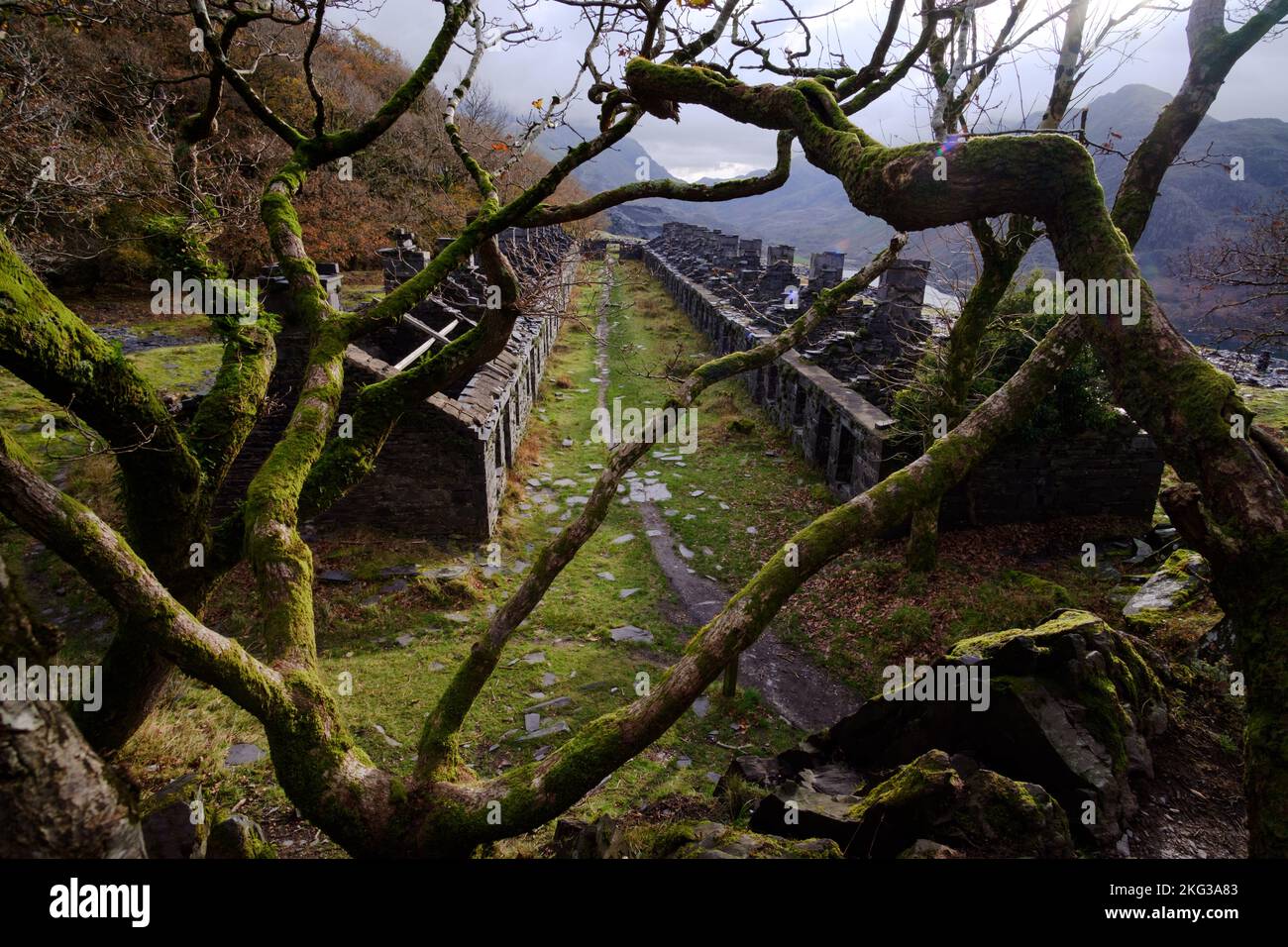 Un paseo otoñal alrededor de la cantera de pizarra Dinorwic en Llanberis, Snowdonia, Gwynedd, Gales del Norte, Gran Bretaña Foto de stock