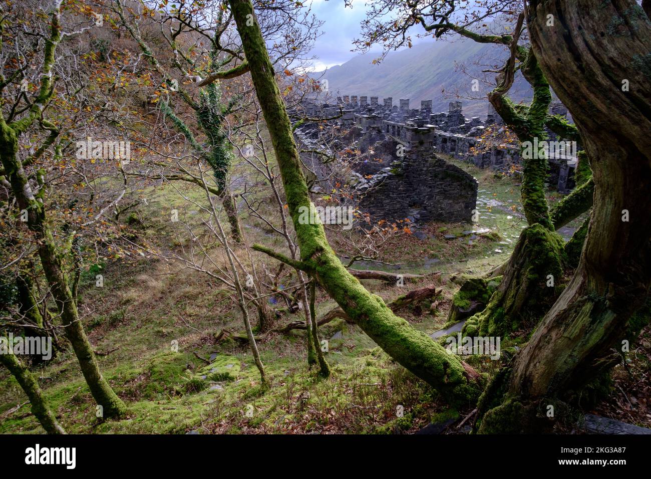 Un paseo otoñal alrededor de la cantera de pizarra Dinorwic en Llanberis, Snowdonia, Gwynedd, Gales del Norte, Gran Bretaña Foto de stock