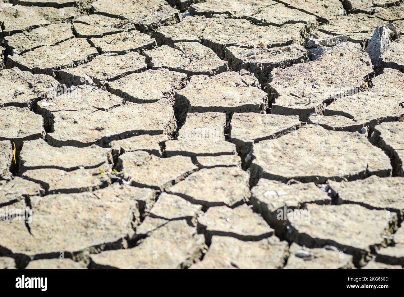 Un primer plano de una tierra seca resecada en un cauce de un río resecado  bajo la luz del sol Fotografía de stock - Alamy