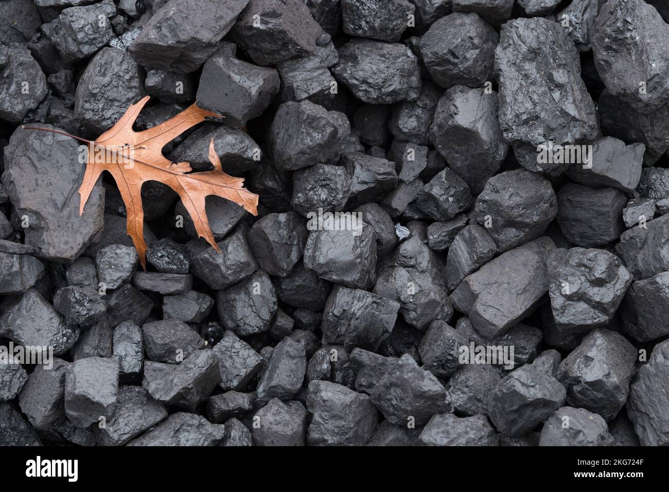 Carbón importado en Puerto de Gdynia, Polonia © Wojciech Strozyk / Alamy Stock Photo Foto de stock