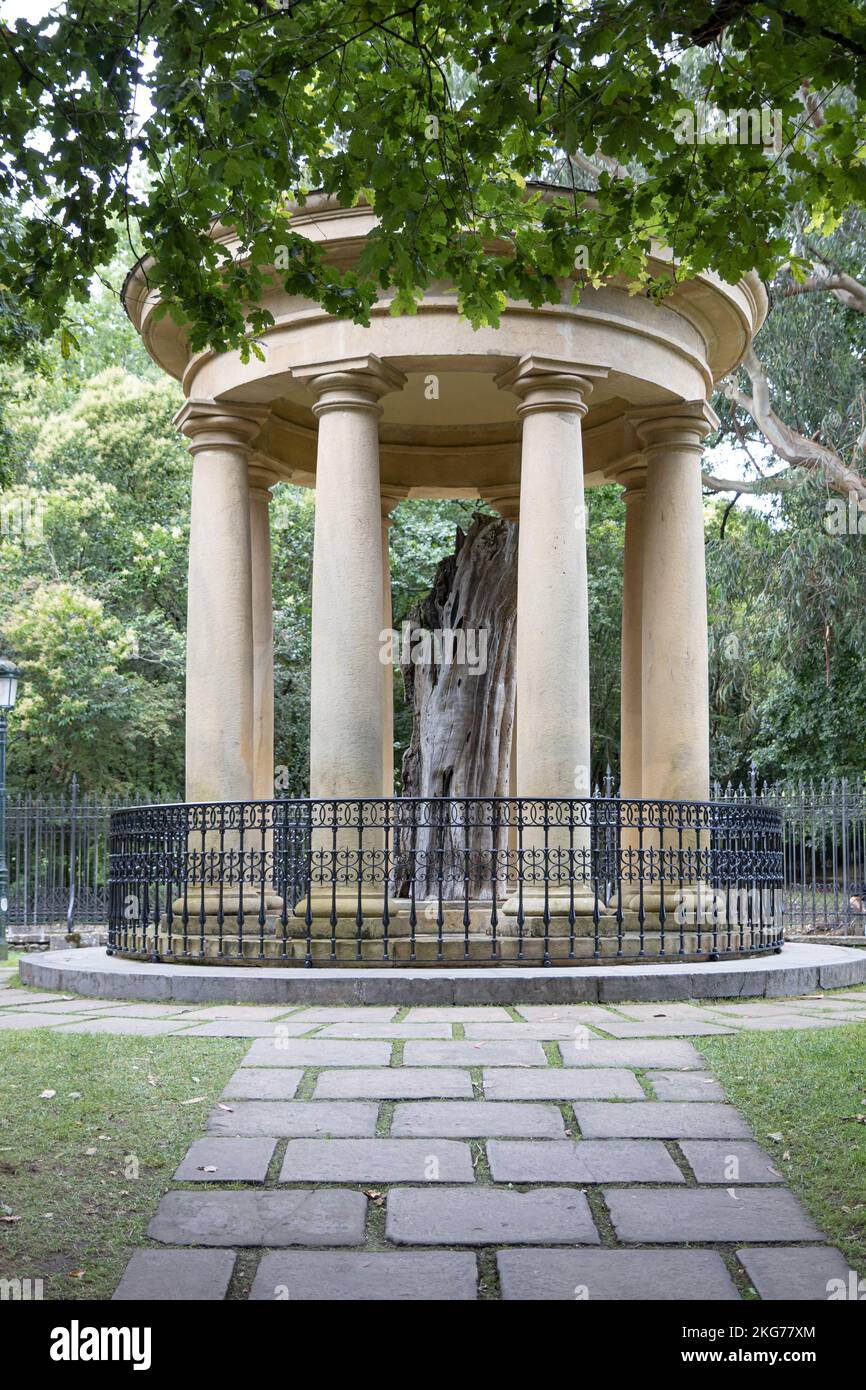 Árbol de Gernika en Guernica, País Vasco, España Fotografía de stock