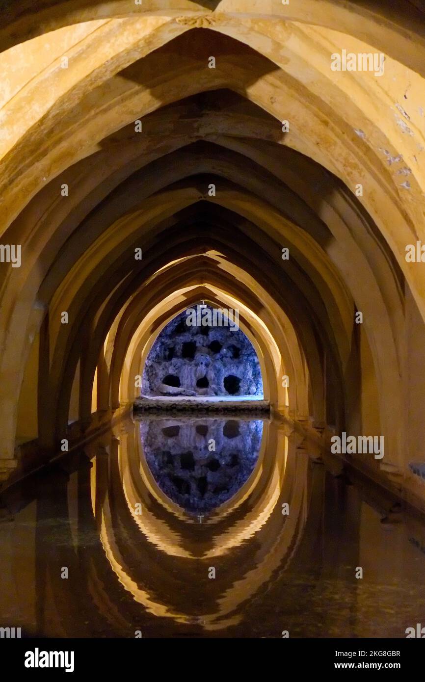 España, Sevilla, Baños de la Lada María de Padilla Antigua piscina de agua de lluvia bajo el palacio del Alcázar Foto de stock