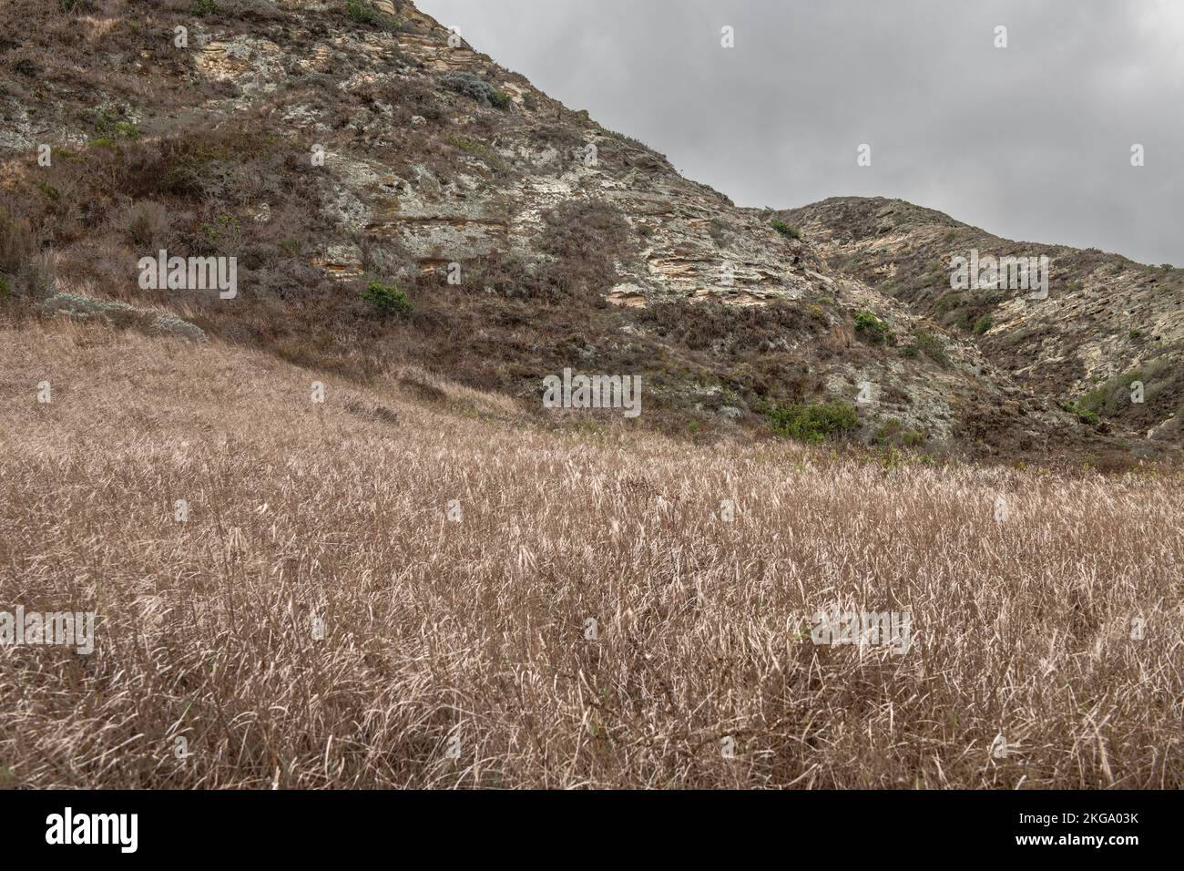 Una imagen lúgubre de una parte árida de la isla de Santa Rosa frente a la costa de California que muestra la hierba seca y el escarpado acantilado. Foto de stock