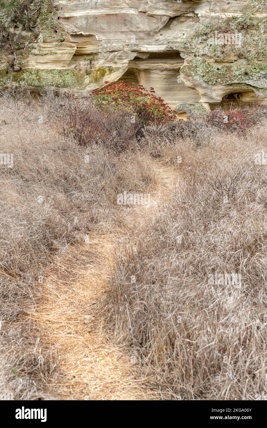 Una vista de un sendero que conduce a una hermosa formación de arenisca rodeada de plantas y hierba. Foto de stock