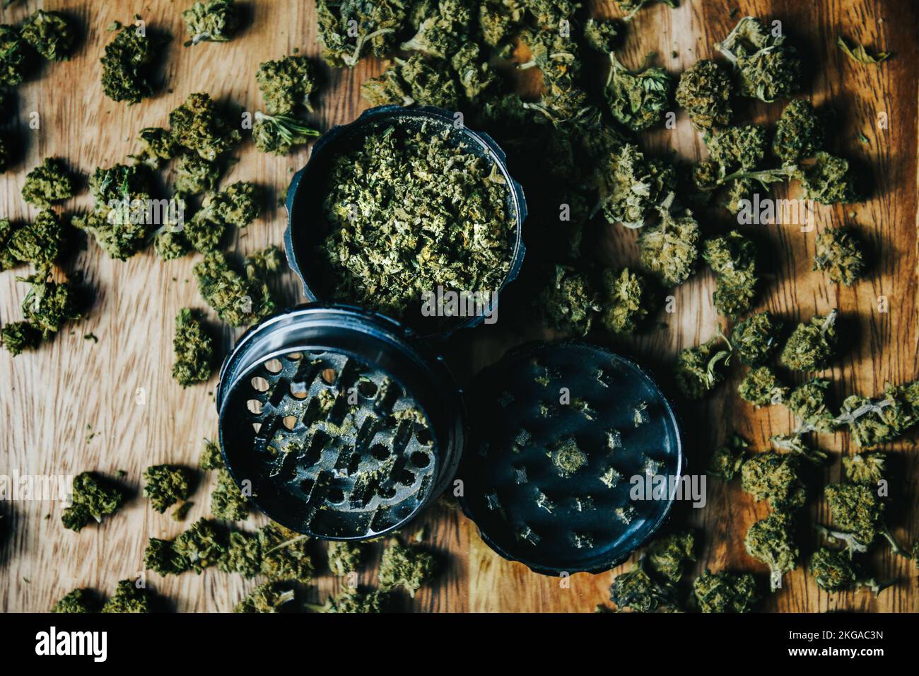 Brotes de marihuana con drogas, cbd y thc. Molinillo y drogas Foto de stock