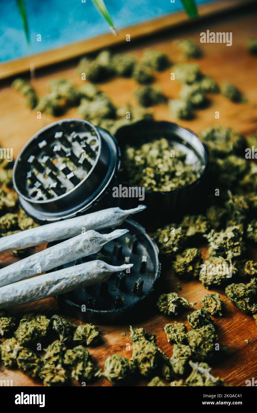 Brotes de marihuana con drogas, cbd y thc. Molinillo y drogas, articulación Foto de stock