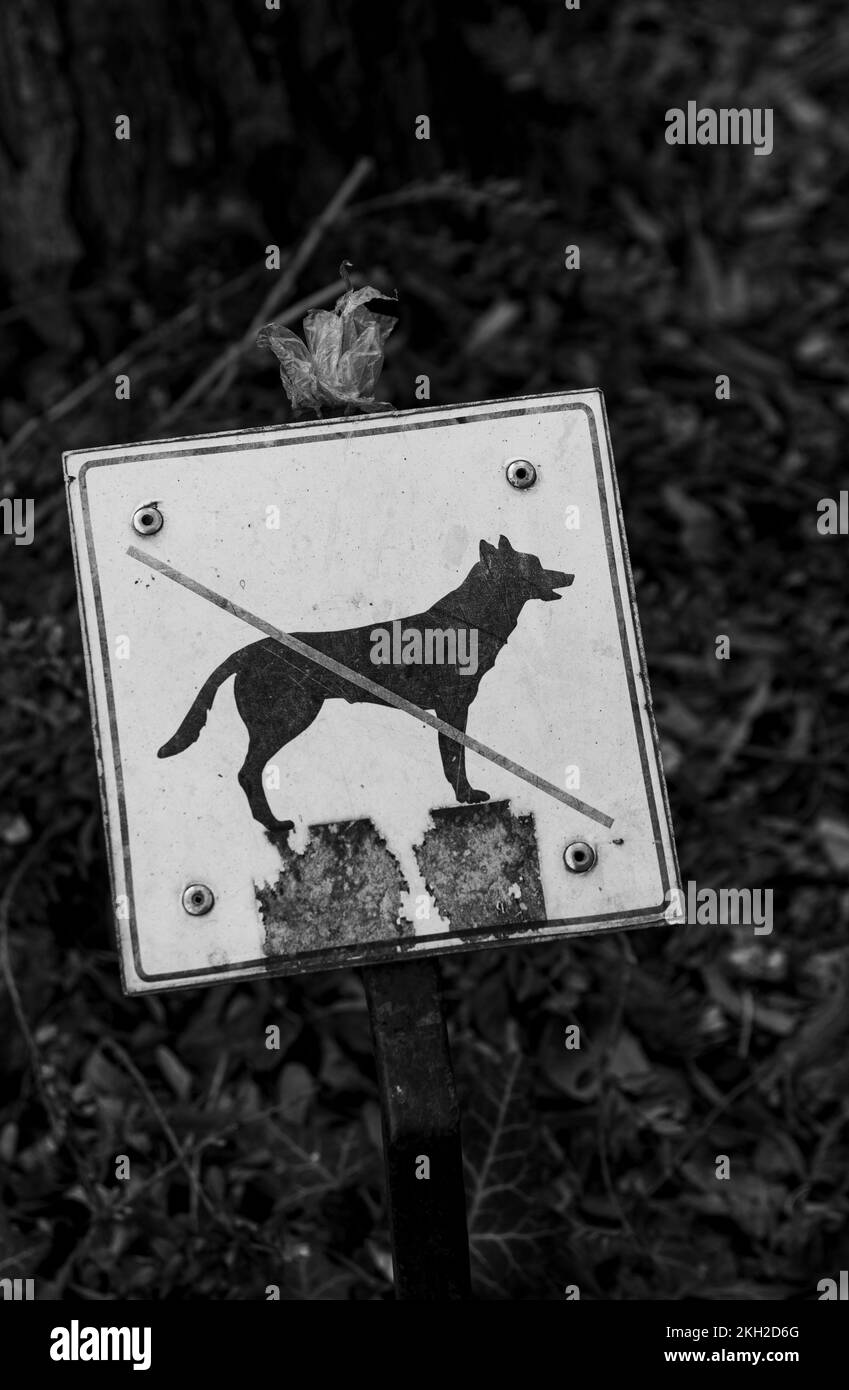 No se admiten perros, cartel de prohibición en blanco y negro en el parque Foto de stock