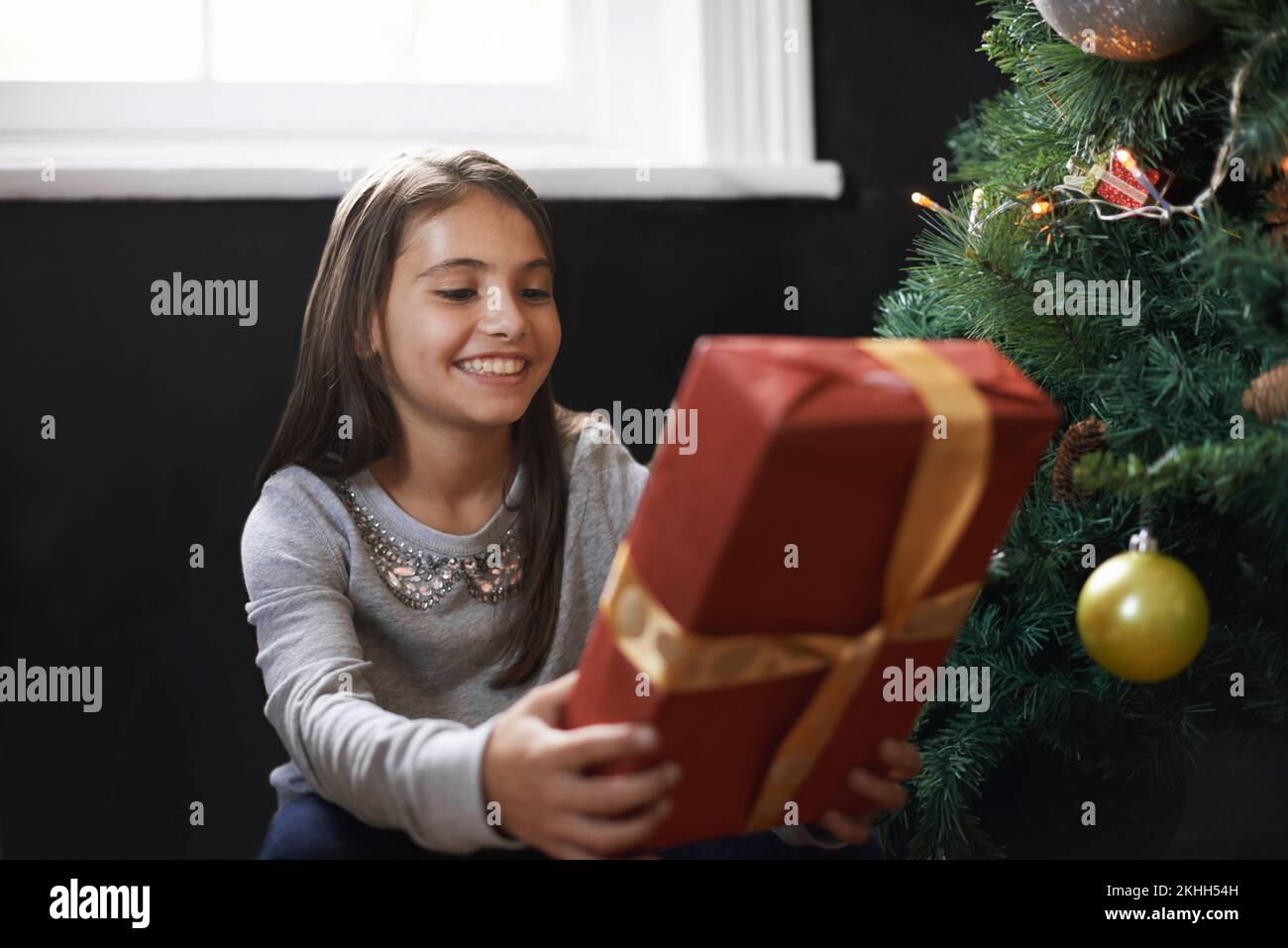 Entusiasmados con la apertura de este regalo. una niña sosteniendo un regalo de navidad. Foto de stock