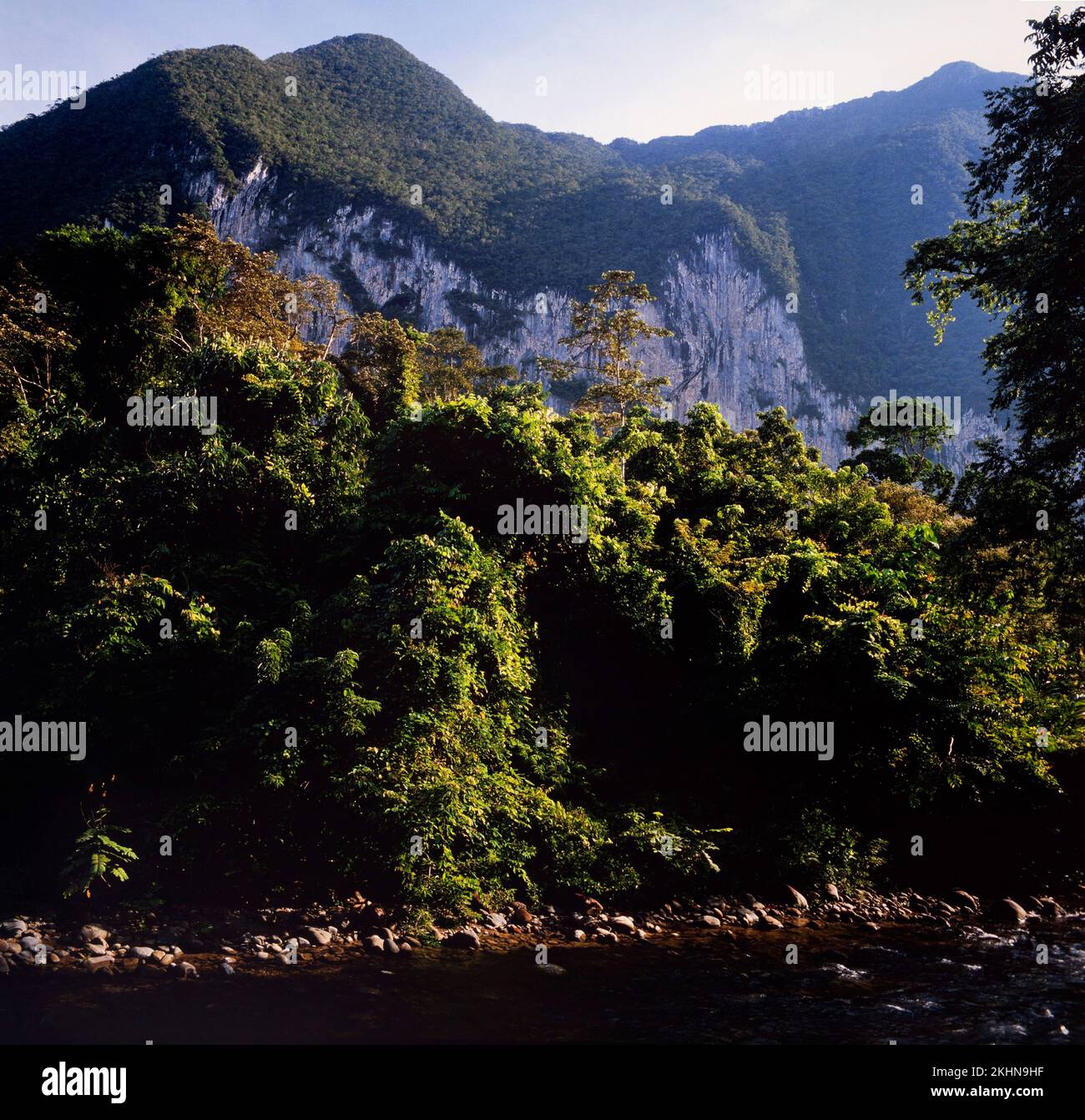 Gunung Banarat, cerca del campamento 5, Parque Nacional Mulu, Sarawak, Borneo, Malasia Oriental Foto de stock