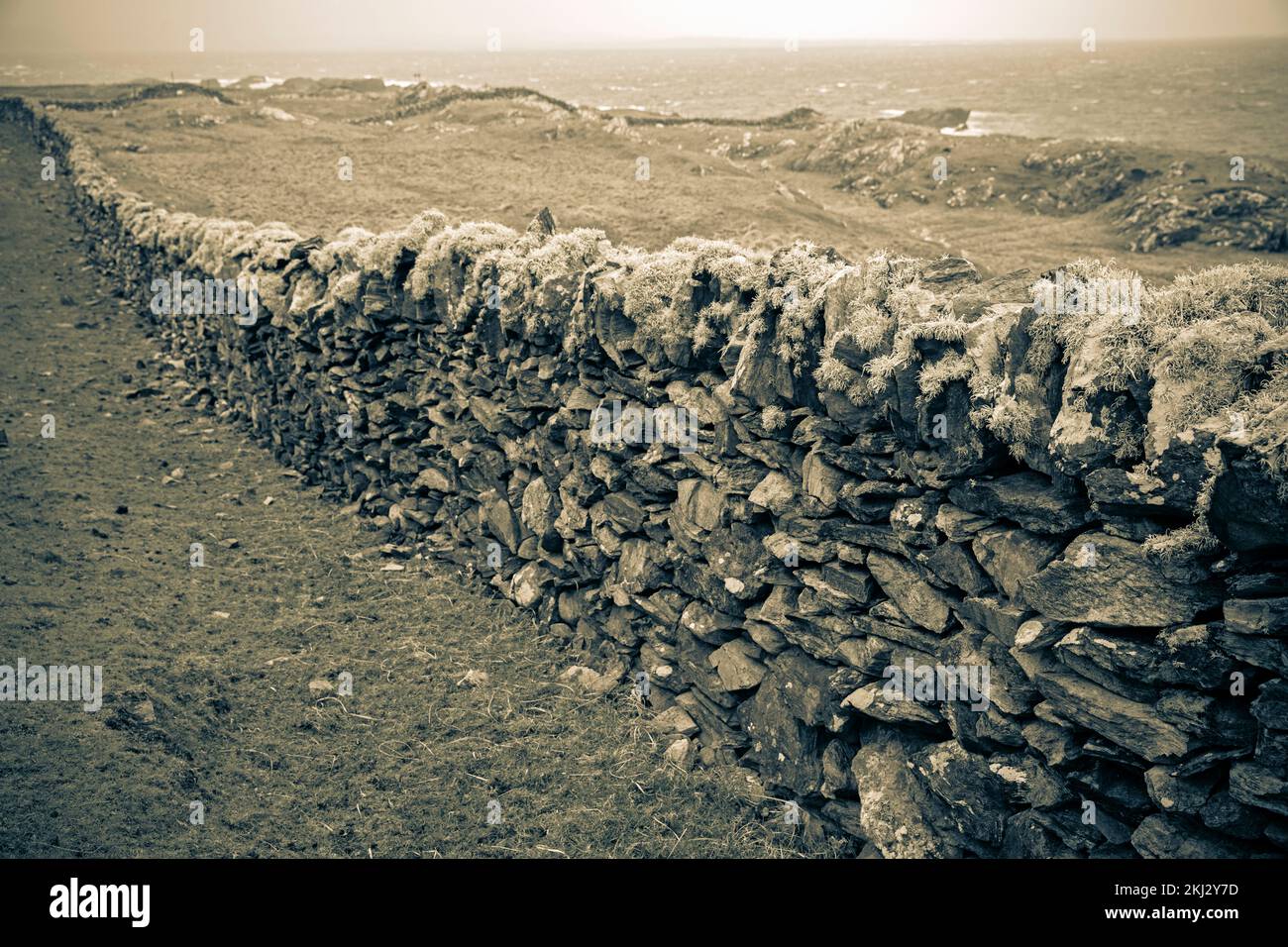 Irlanda, Inishbofin, una isla en las islas más occidentales de la costa irlandesa, paredes de piedra seca Foto de stock