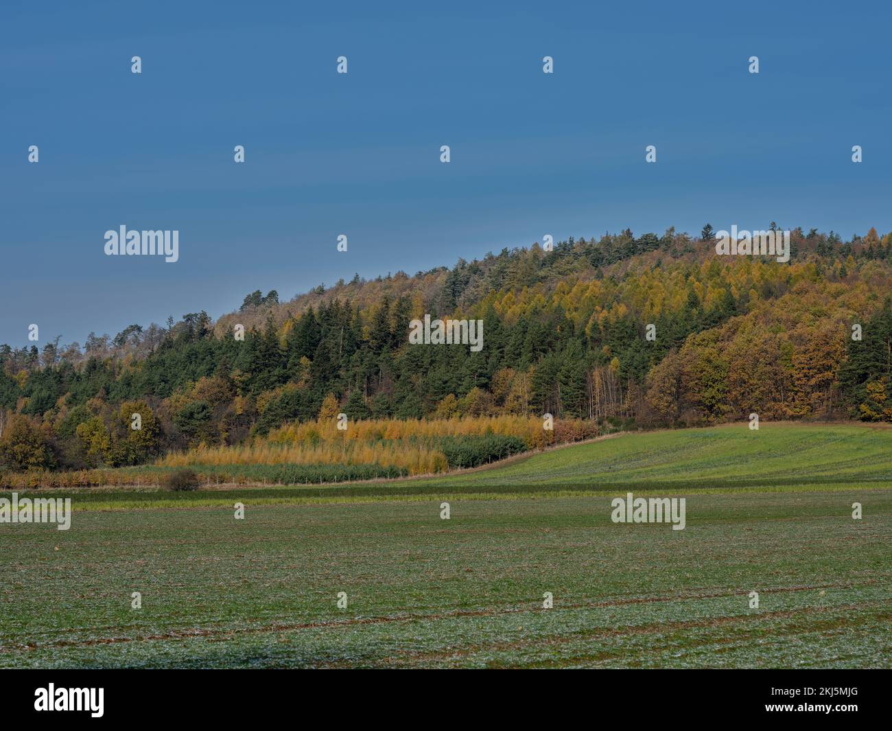 Colores finales del otoño después de la primera nieve ligera Silesia Baja Polonia Foto de stock