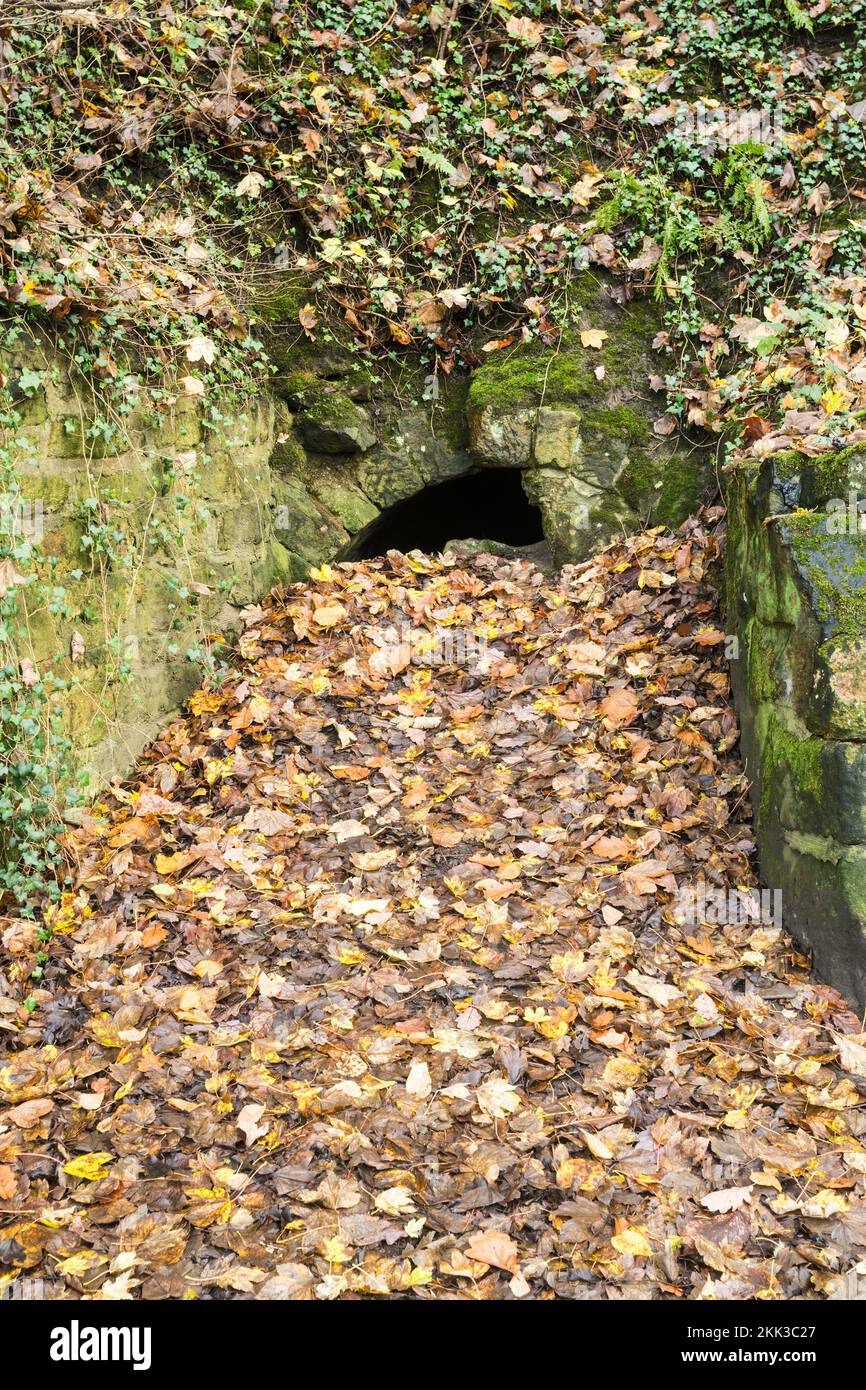 Túnel victoriano que conduce al río Wear en Penshaw, utilizado para transportar piedra de cantera a las estacas ribereñas del noreste de Inglaterra Reino Unido Foto de stock