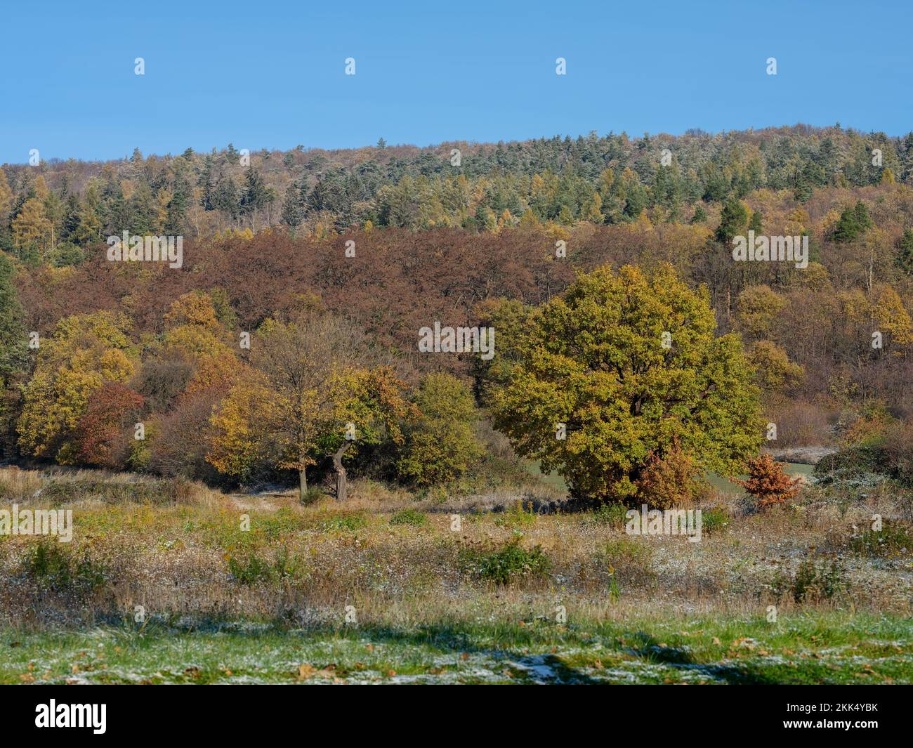 Colores finales del otoño después de la primera nieve ligera Silesia Baja Polonia Foto de stock
