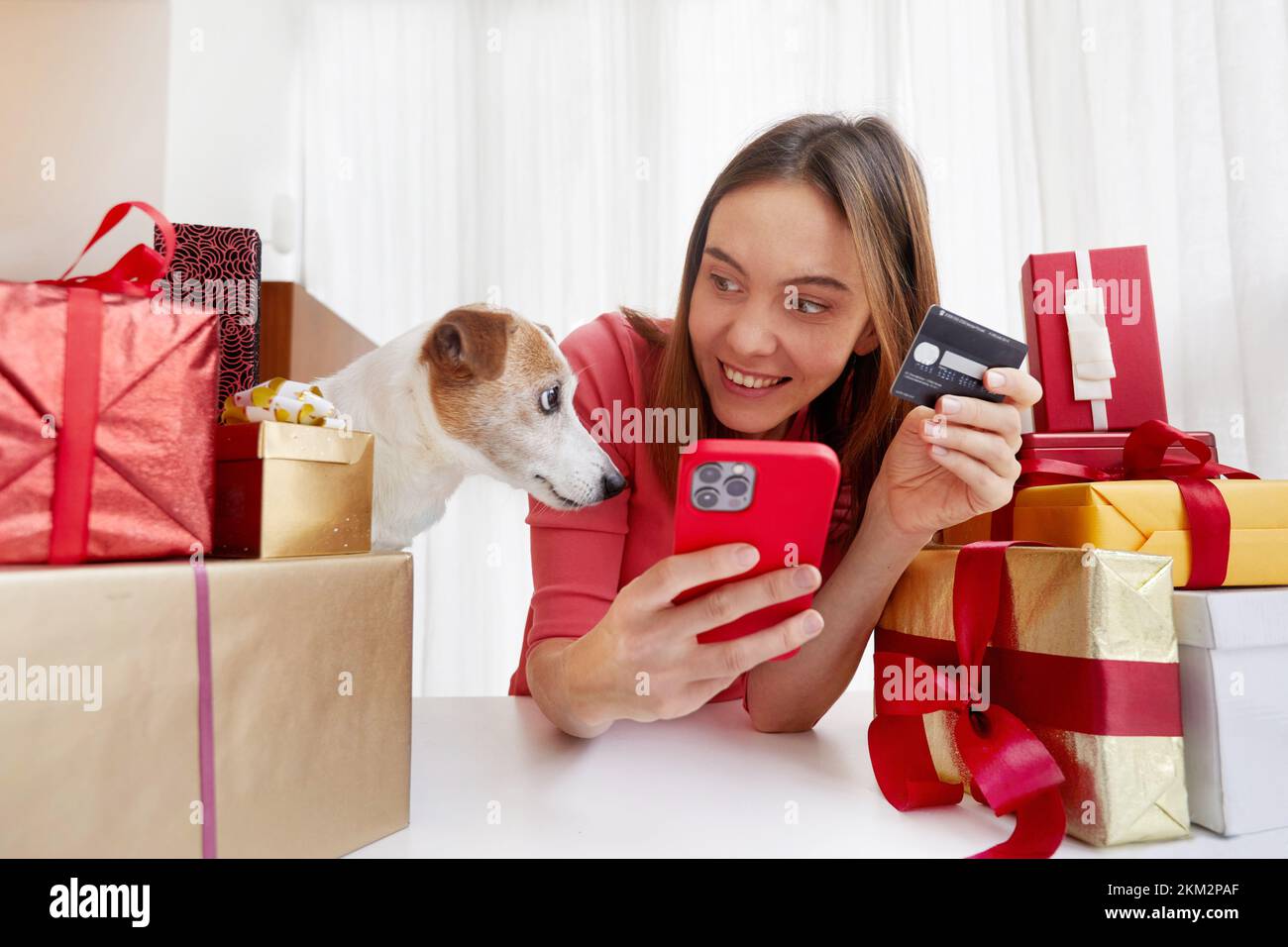 Mujer con perros comprando regalos en línea en casa Foto de stock