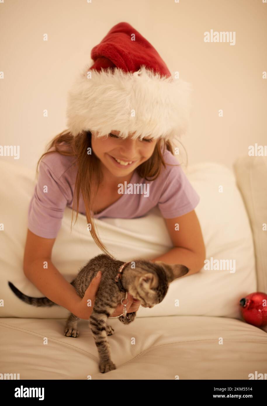 Navidad, niño y gato gatito para regalo o regalo de amor para la felicidad, el cuidado y la celebración de vacaciones en el hogar de la familia. Sonrisa de chica emocionada y. Foto de stock