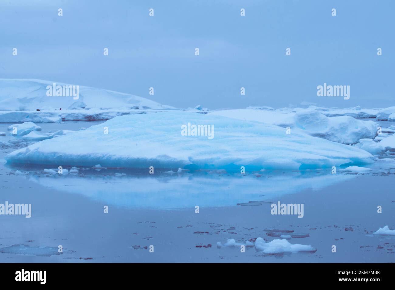 Las fiebres de hielo y los icebergs que fluyen en el océano Antártico. Con capas de hielo y nieve que crean los icebergs. Foto de stock