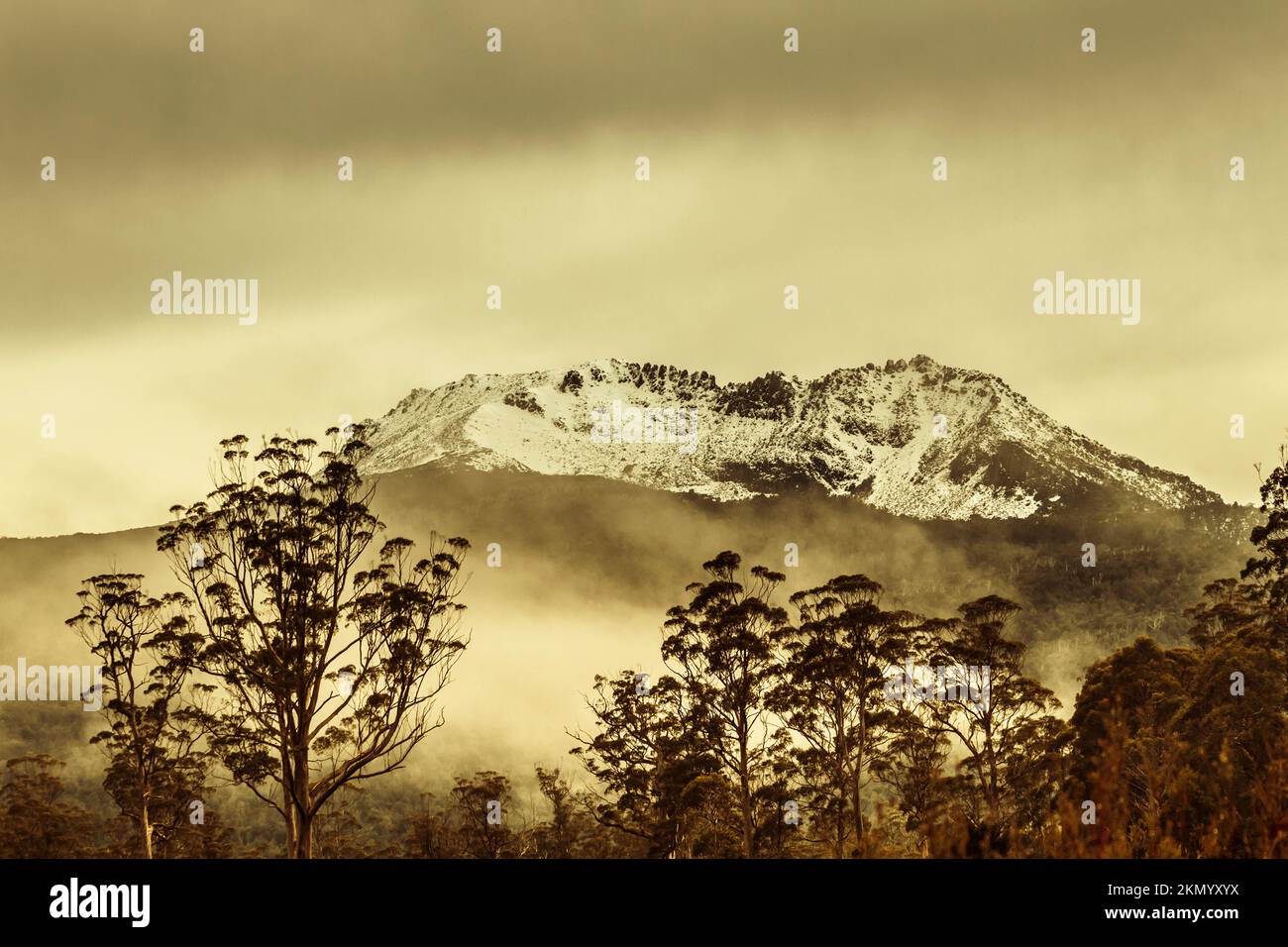Vista vintage en tonos sepia de un monte Gell cubierto de nieve, Tasmania, en el centro del Parque Nacional Franklin-Gordon Wild Rivers. Increíble montaña de tasmania lan Foto de stock