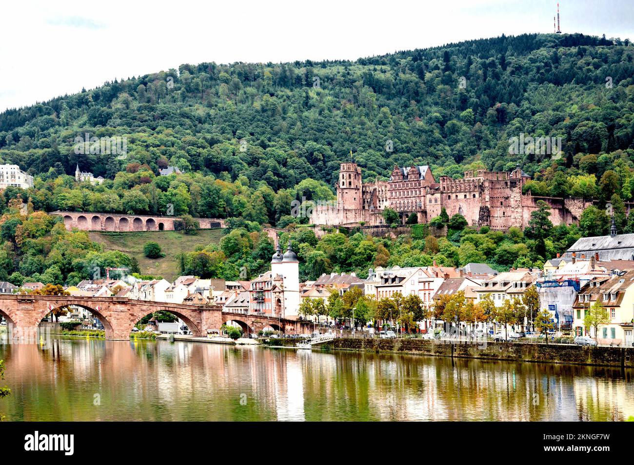 Heidelberg (Baden-Württemberg, Alemania). Schloss Heidelberg oberhalb vom Neckar; castillo en el río Neckar Foto de stock