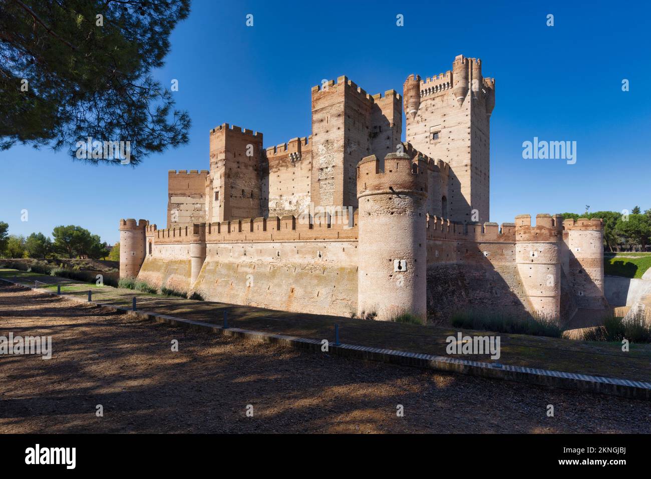 El castillo de La Mota del siglo 15th - Castillo la Mota, Medina del Campo, Valladolid, Castilla y León, España. Foto de stock
