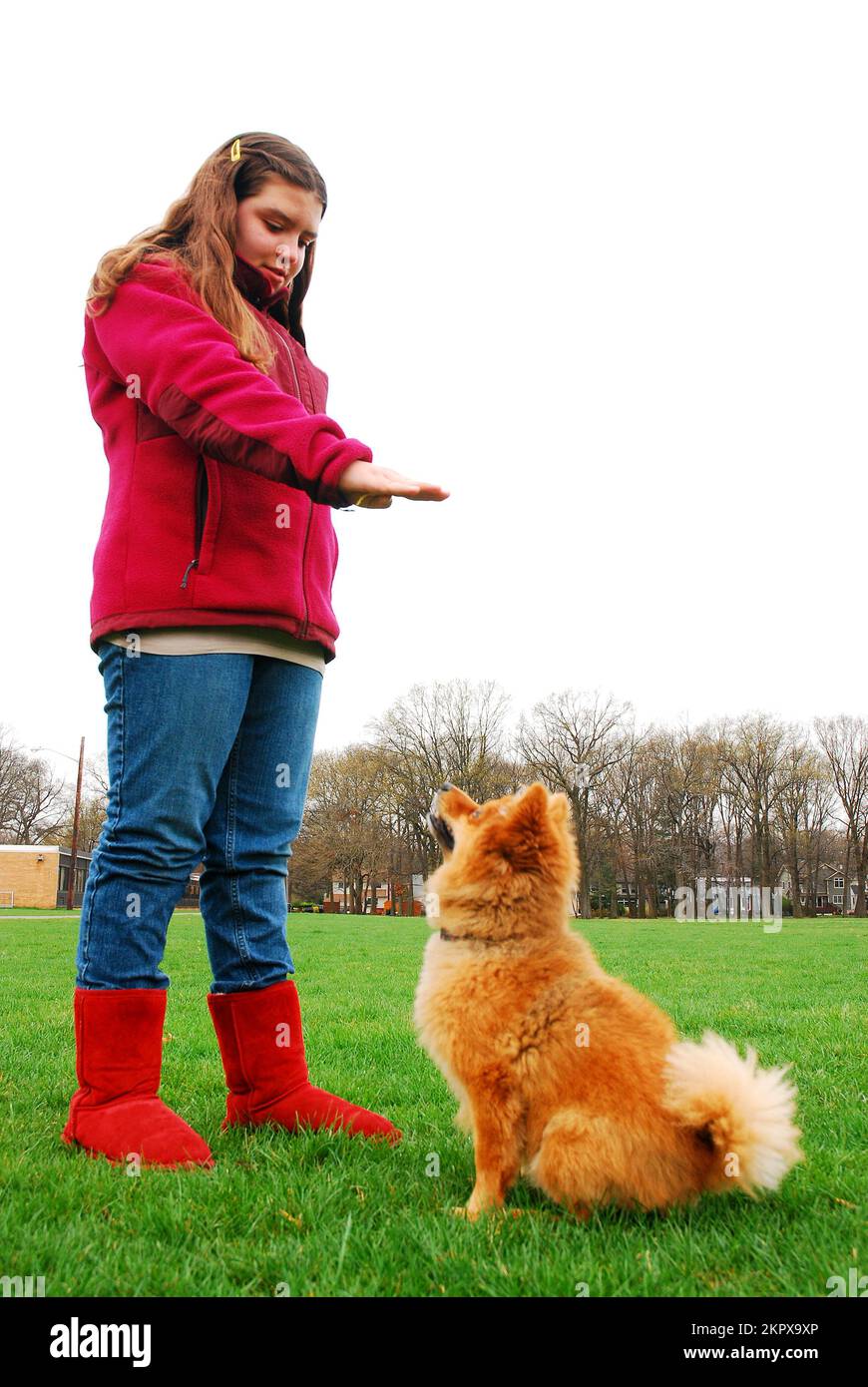 Una niña adolescente enseña y entrena a su perro a permanecer con gestos de mano en un parque Foto de stock