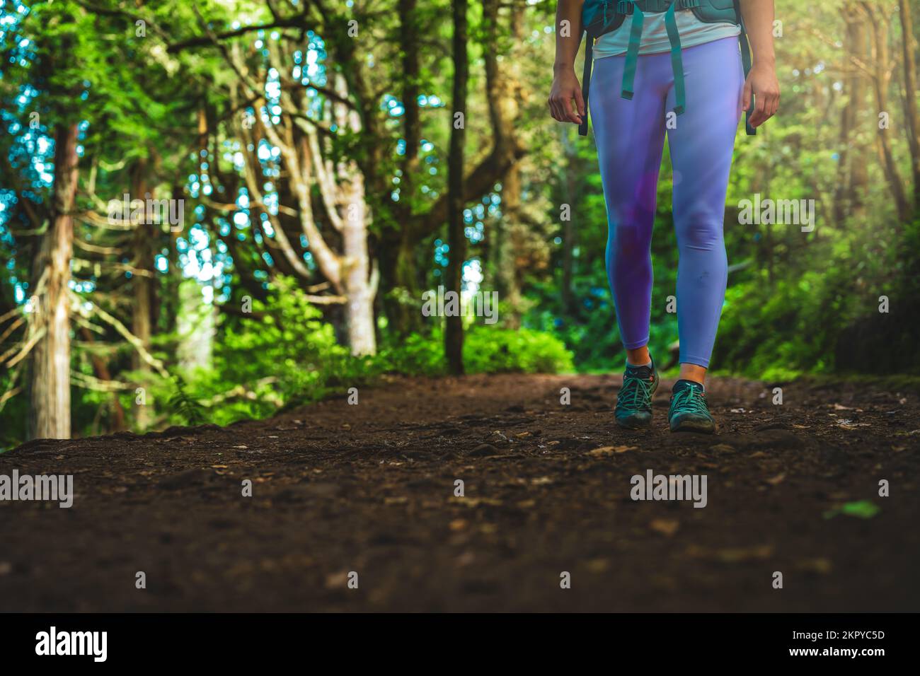 Mujer Que Activa Con Las Piernas Atléticas Y Zapatillas Deportivas. Mujer  Caminando En El Sendero En El Bosque En Concepto De Estilo De Vida  Saludable Con El Primer Plano De Los Zapatos