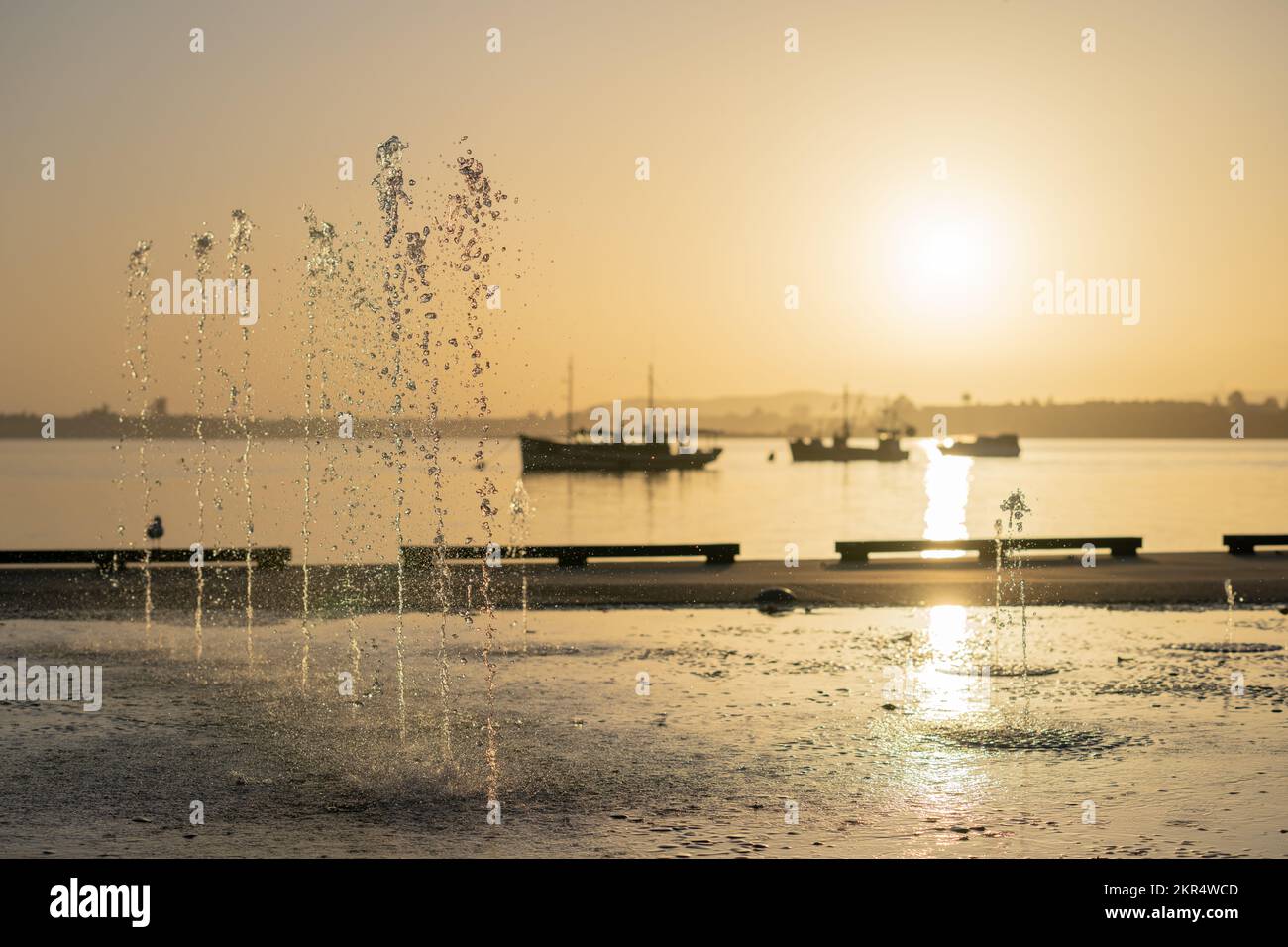 La fuente de concentración en el agua lanza chorros de agua en el aire contra el tono dorado del amanecer en la orilla del centro de Tauranga Foto de stock
