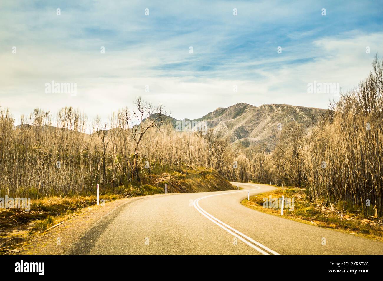 Paisaje de Tasmania, escenario de un camino curvillo que atraviesa el increíble Parque Nacional Franklin Gordon Wild Rivers en el salvaje oeste de Tasmania, Foto de stock