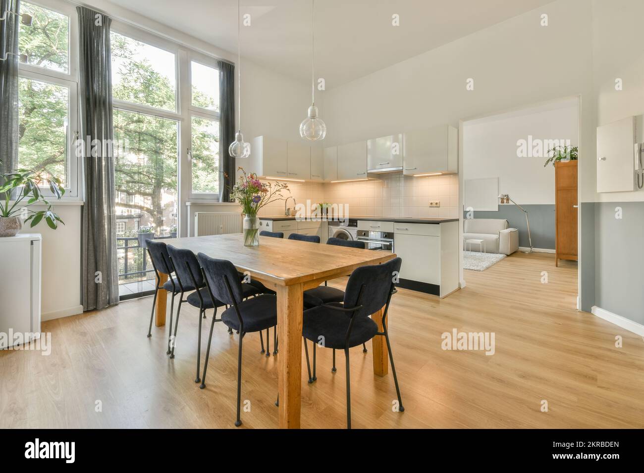Interior de cocina contemporánea con elegantes armarios y electrodomésticos cerca de la zona de comedor en apartamento contemporáneo Foto de stock