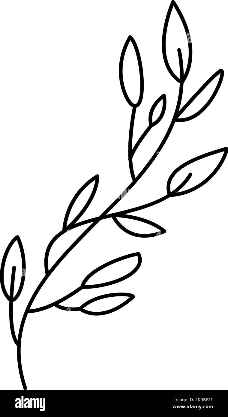 Icono de vector de contorno de rama. Línea delgada icono de rama negra, vector plano elemento simple ilustración del concepto de naturaleza editable trazo aislado sobre blanco Ilustración del Vector