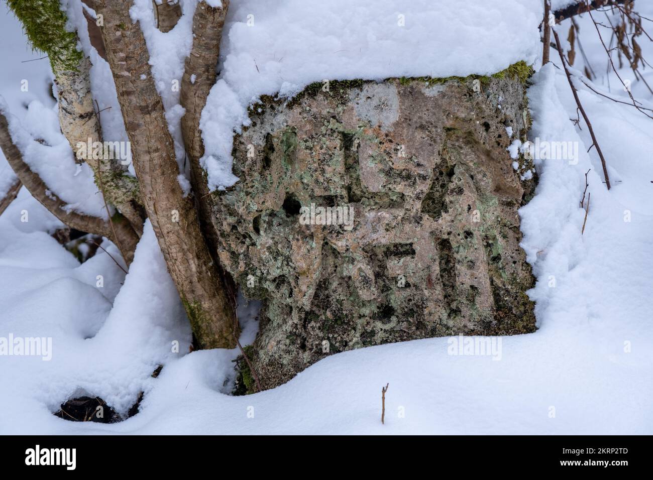 Una piedra con letras grabadas. Una piedra dolomita muy antigua en un bosque cubierto de nieve. Foto de stock