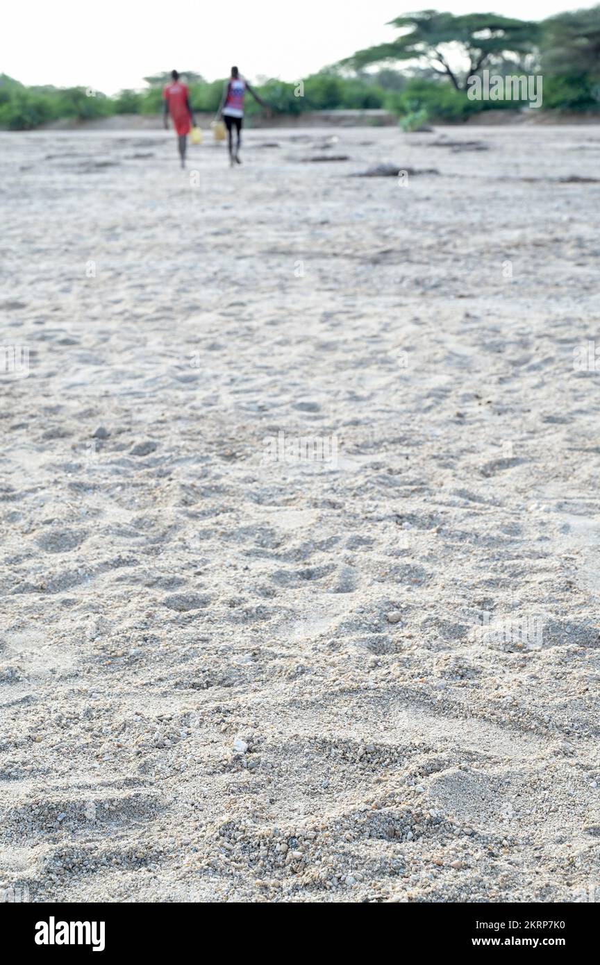 KENIA, Turkana, Lokichar, cambio climático, río seco Lagger, Los turkanos obtienen agua de un agujero en el lecho del río / KENIA, Turkana, Klimawandel, trockenes Flußbett Fluß Lagger, Menschen schöpfen wasser aus einem Wasserloch Foto de stock
