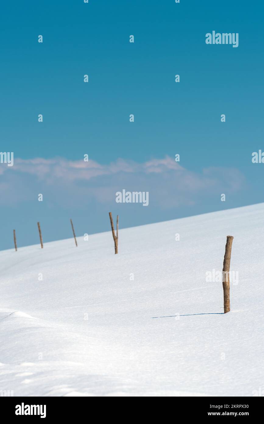 Palos de madera para granja lechera de vallas de campo libre en la nieve en el paisaje de Zlatibor Foto de stock