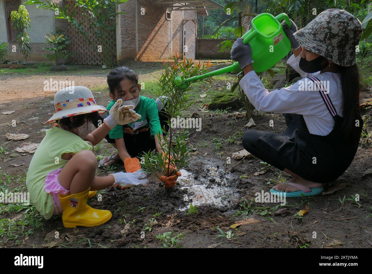 algunos niños plantan árboles juntos en el patio, mantienen el ambiente limpio, saludable, aire fresco, mejoran la calidad del oxígeno Foto de stock
