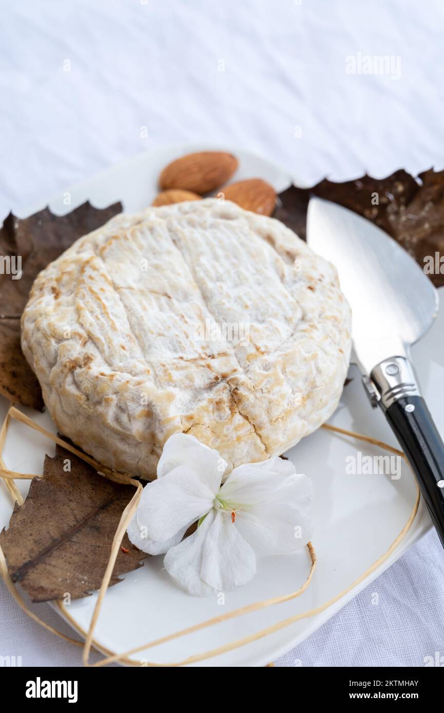 Queso francés de las montañas banon hecho en Alpesdehauteprovence envuelto en hojas de