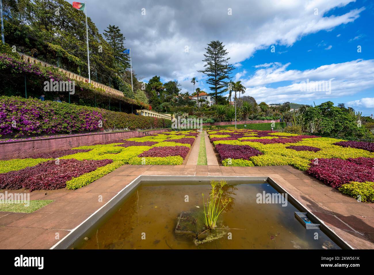 Flores plantadas como muestras, Jardín Botánico, Jardín Botánico, Funchal, Madeira, Portugal, Europa Foto de stock