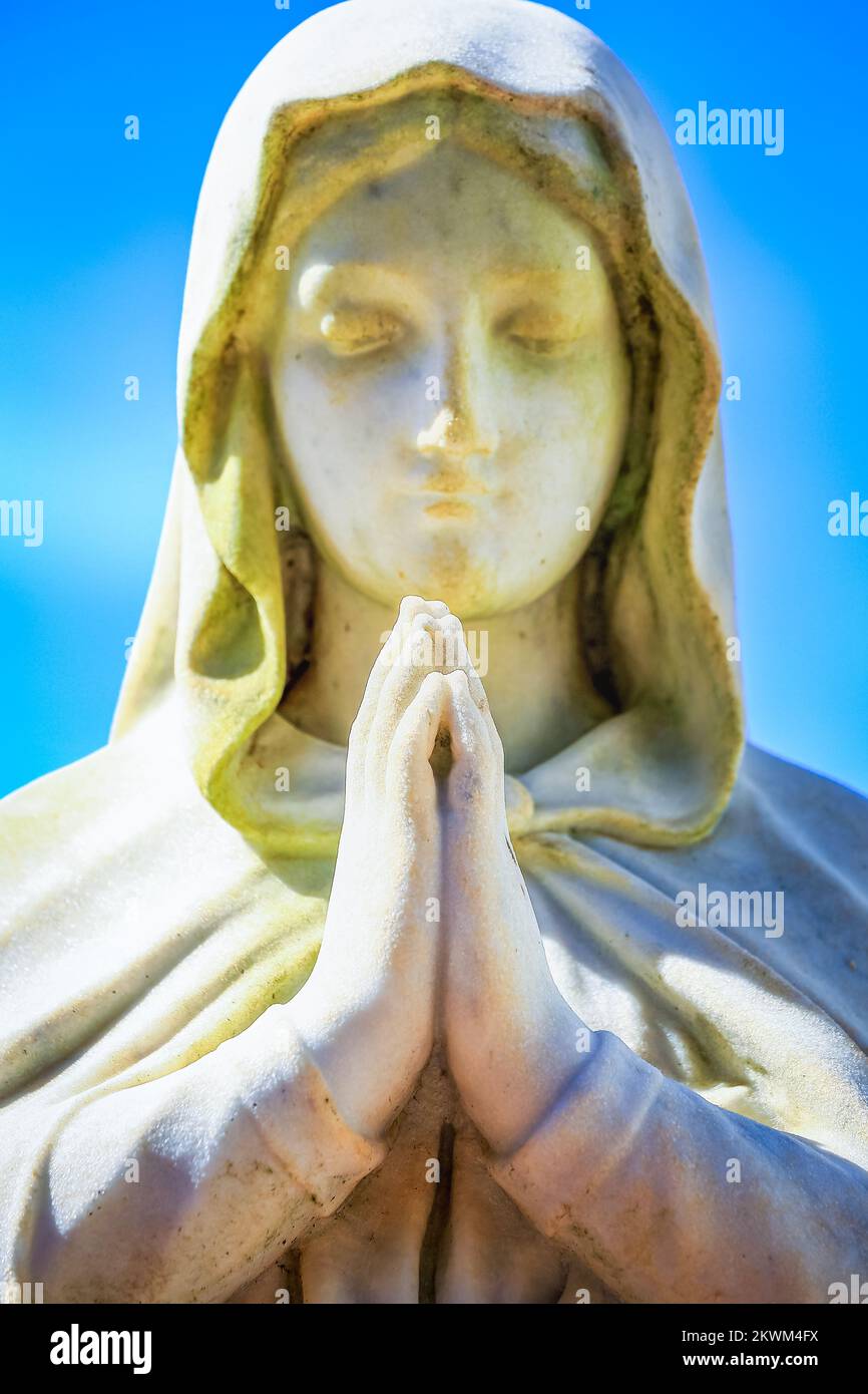 La Virgen María Faithfull con las manos orando y bendiciendo, mirando al cielo Fotografía de