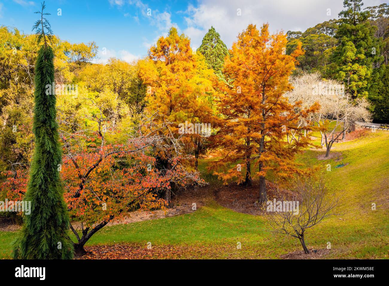 Parque público Mount Lofty en un día durante la temporada de otoño Foto de stock
