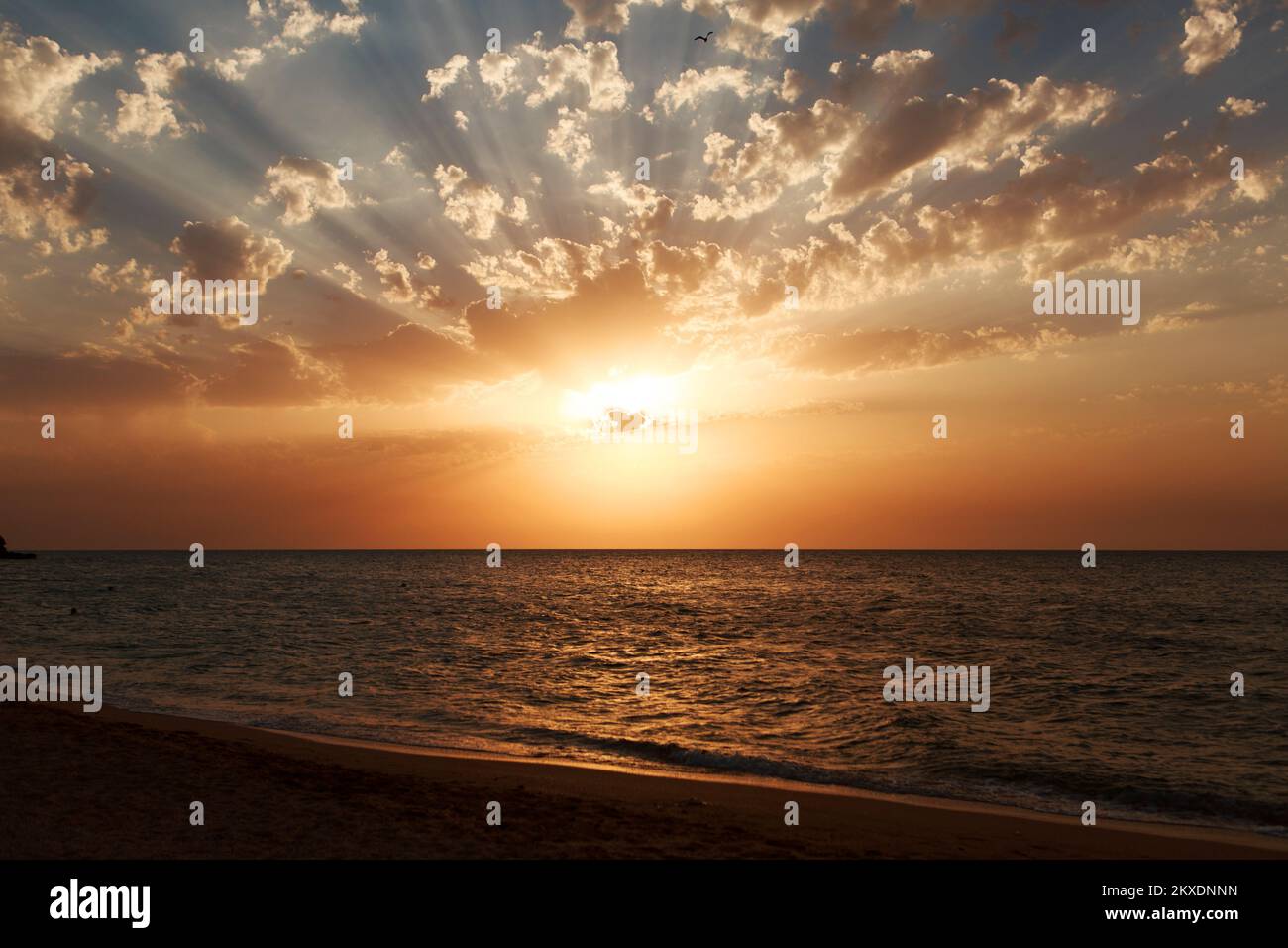 Fondos de pantalla de alta calidad fotografías e imágenes de alta resolución  - Alamy