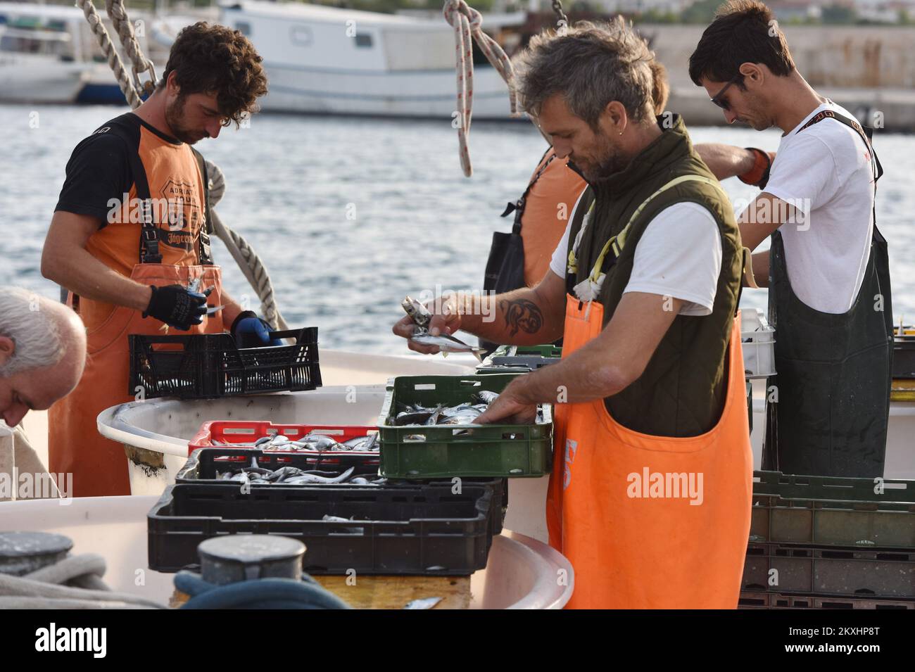 Los pescadores descargan sus capturas después de un viaje nocturno de pesca en el mar Adriataico, en Tribunj, Croacia, el 19 de septiembre de 2020. Foto: Hrvoje Jelavic/PIXSELL Foto de stock