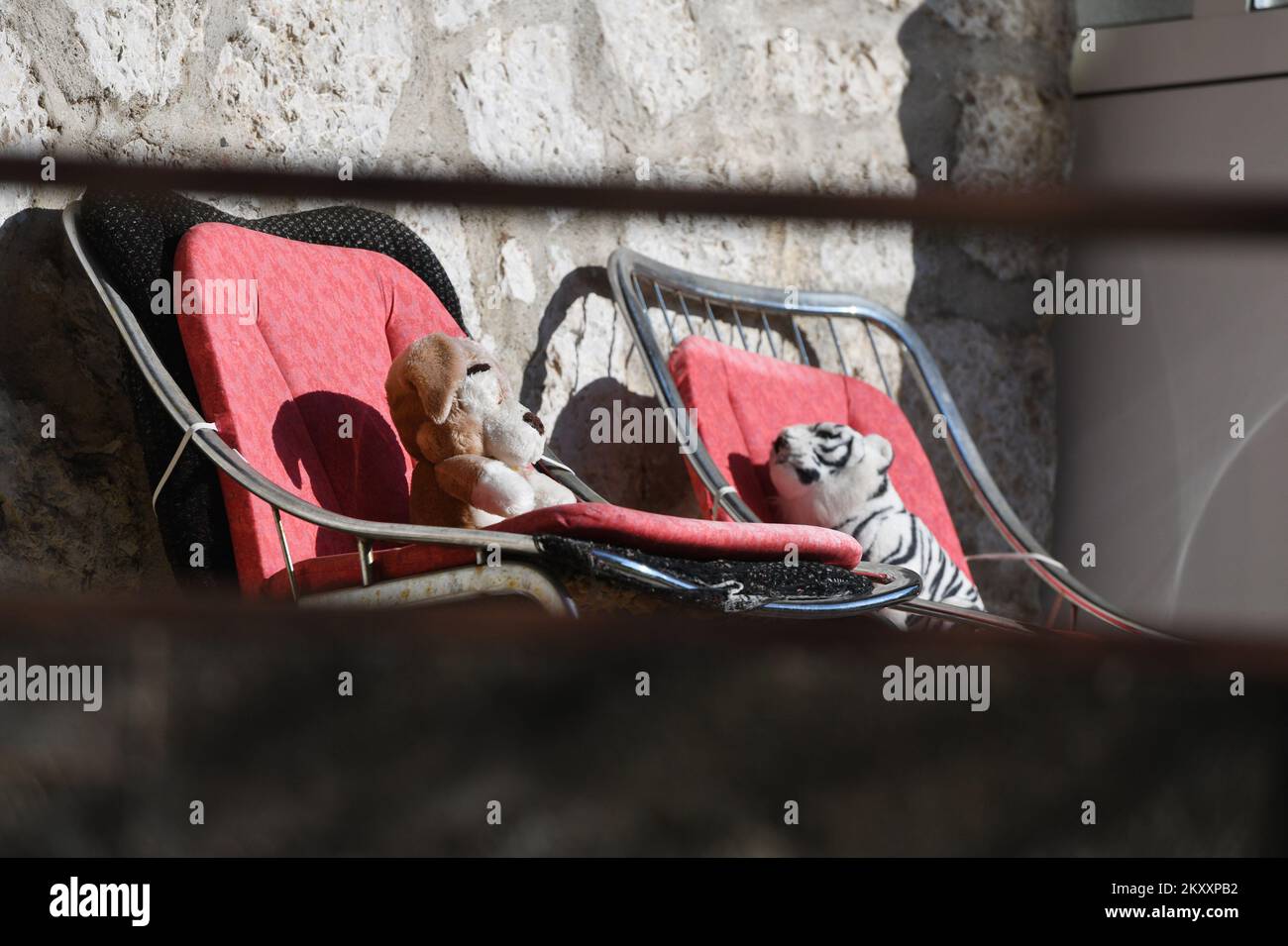 Los juguetes de peluche están sentados en la silla y disfrutan al sol, en  Sibenik, Croacia, el 01 de febrero de 2022. Foto: Hrvoje Jelavic/PIXSELL  Fotografía de stock - Alamy