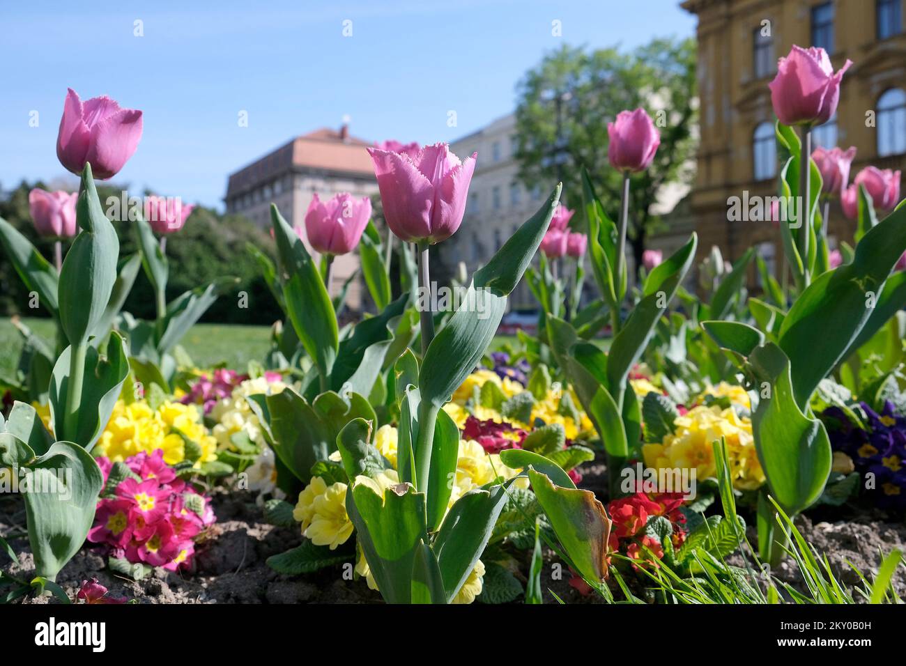 El espléndido parque paisajístico de la Plaza de la República de
