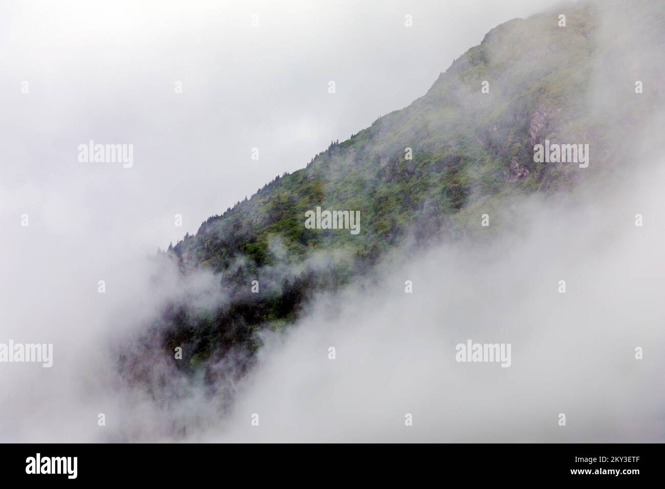 Tiempo nublado con niebla; Valdez Arm; Prince William Sound; Alaska; EE.UU Foto de stock