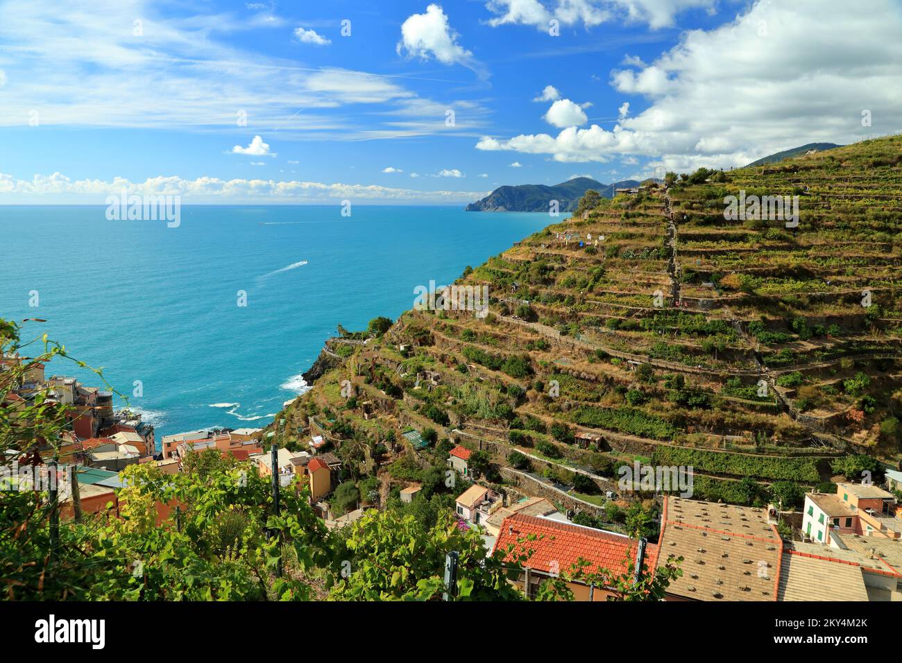 Agricultura en terrazas, Manarola, Cinque Terre, Liguria, Italia Foto de stock