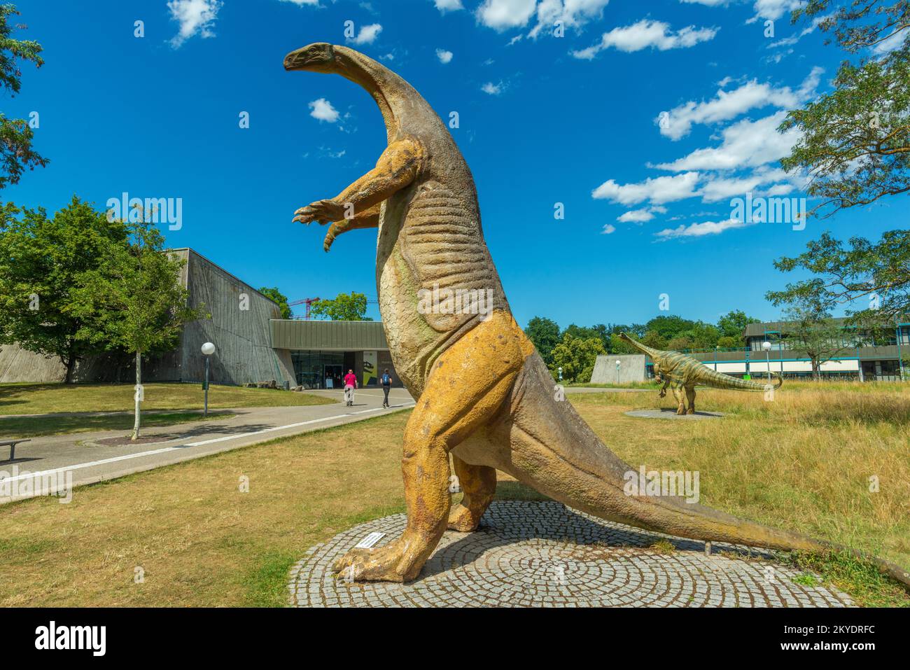 Dinosaurio malo fotografías e imágenes de alta resolución - Alamy