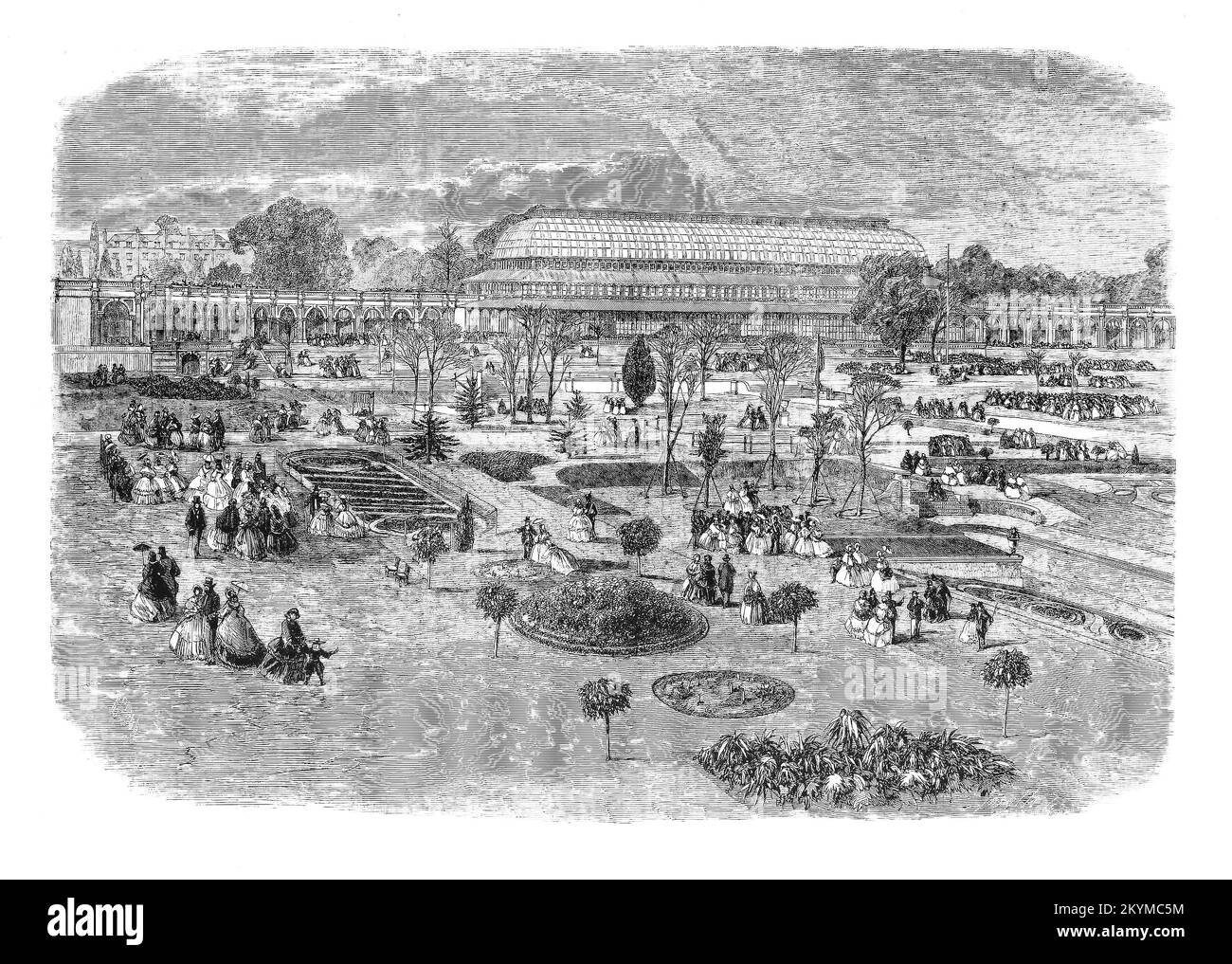 Royal Horticultural Society's Gardens, South Kensington, esbozado en 1861. Cerca del lado sureste del Royal Albert Hall, estaba limitado por un elaborado jardín italiano muy arquitectónico, que cayó en terrazas hacia un límite sur sobre donde se encuentra el Museo de la Ciencia. Este jardín, de unos veinte acres, fue mantenido por la Real Sociedad Hortícola desde 1861 hasta alrededor de 1886 con un gran conservatorio, arbustos en espiral y estatuas de pie entre canales con borde de piedra y bordados en caja de grava coloreada Foto de stock