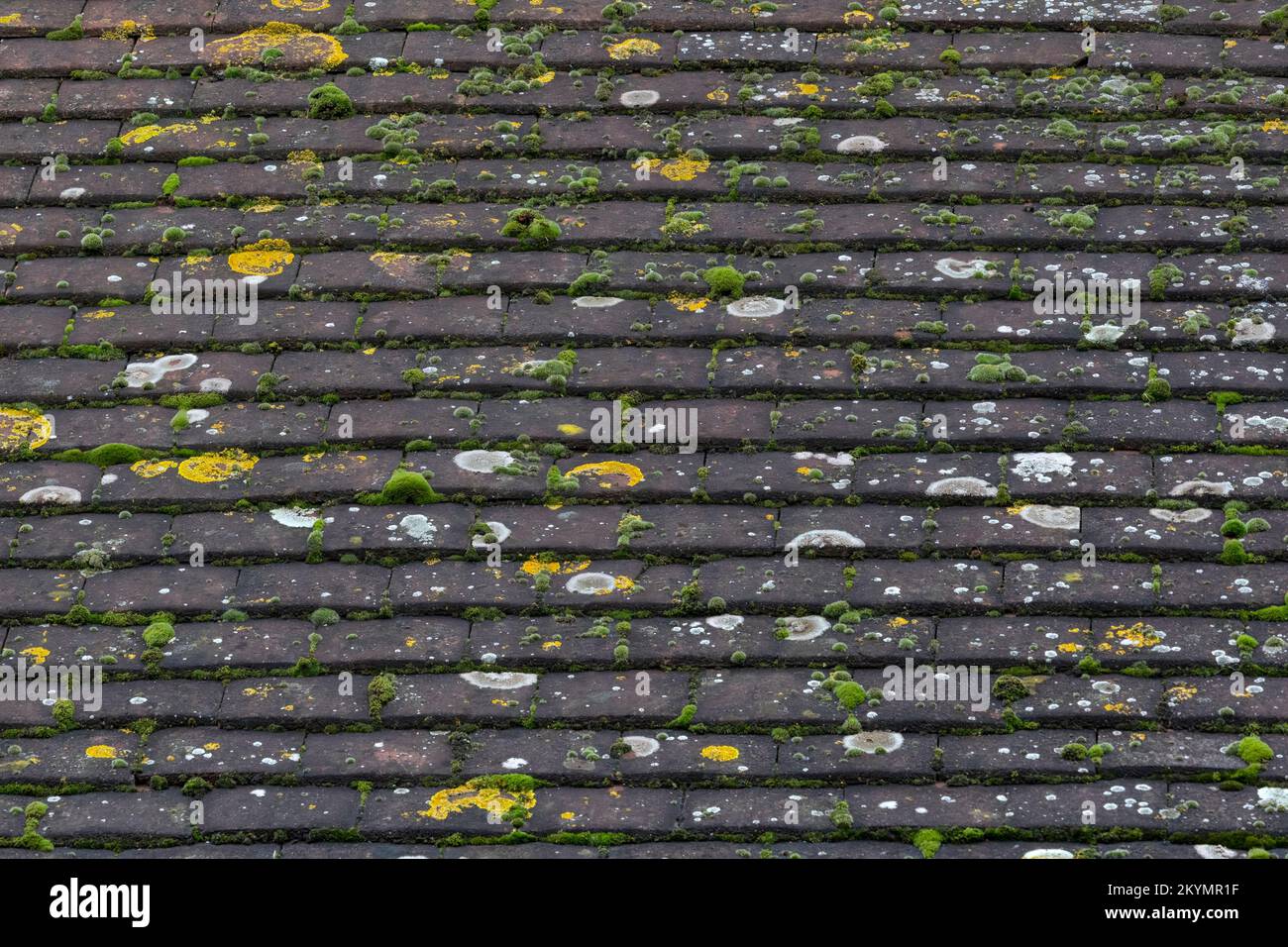 Textura de fondo de las tejas de arcilla gris vieja Foto de stock