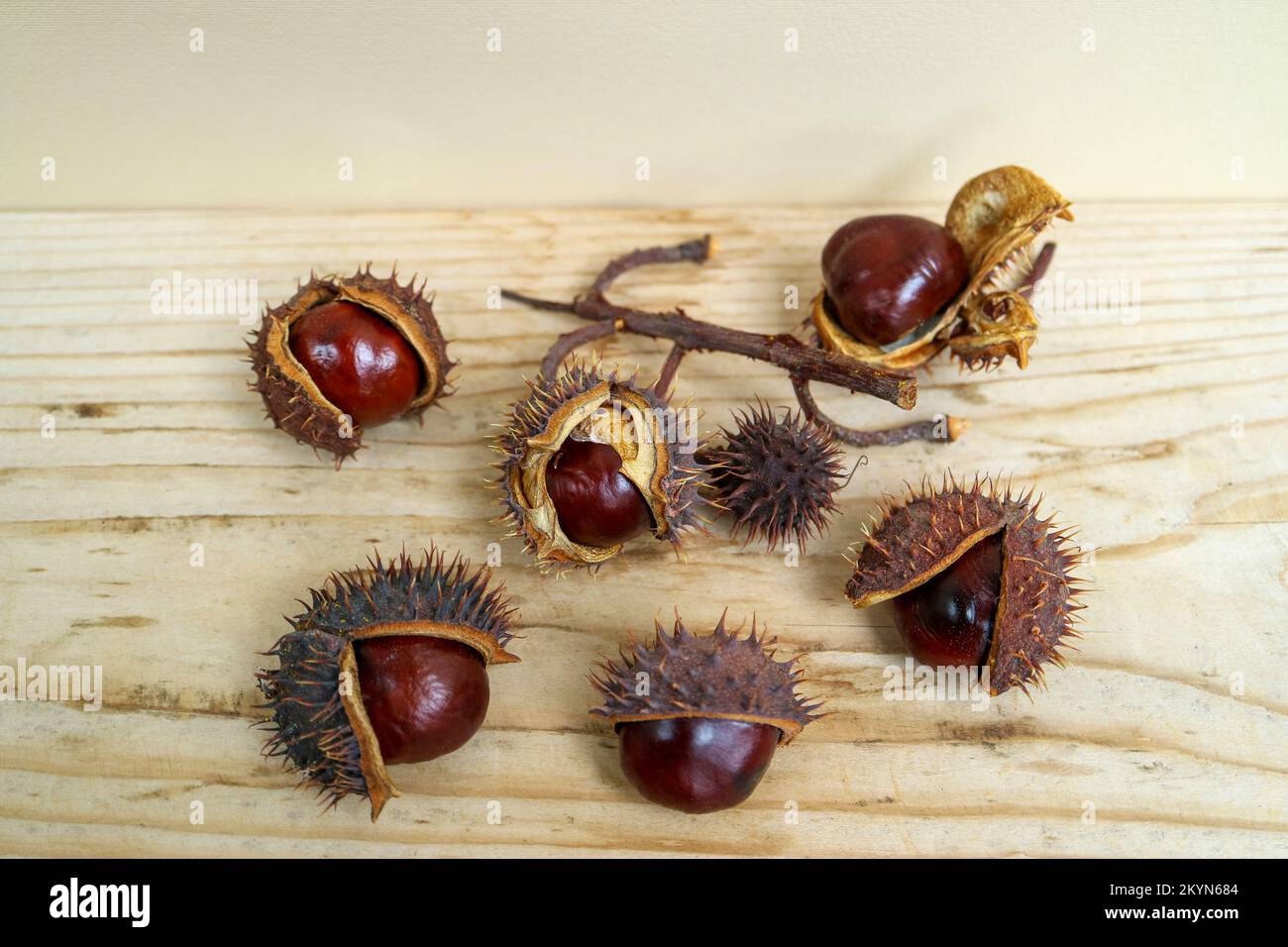 Castañas de frutos con cáscara marrón sobre una tabla de madera, castañas  de otoño macro, natural, escena otoñal, macro fotografía, imagen de stock  Fotografía de stock - Alamy