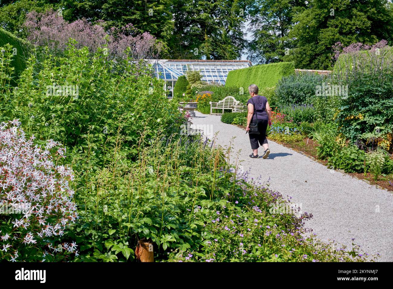 Flores herbáceas bordean el jardín amurallado de Threave Gardens en Dumfries y Galloway, Escocia. Foto de stock