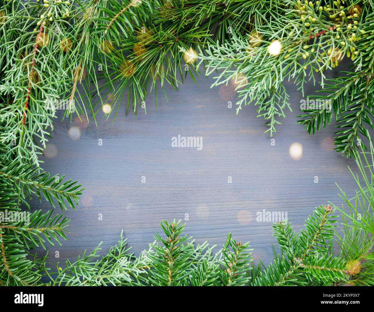 Los pinos y abetos las ramas de un árbol en el marco de fondo de madera. Feliz Navidad y Feliz Año Nuevo tarjeta de felicitación Foto de stock