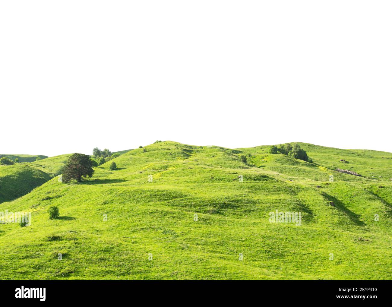Paisaje panorámico con verde hierba colina aislada sobre fondo blanco Foto de stock
